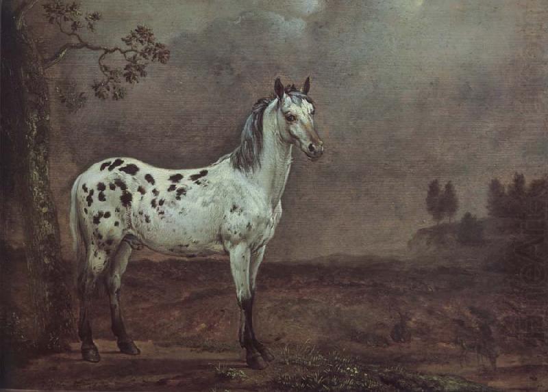 POTTER, Paulus A geschecktes horse china oil painting image